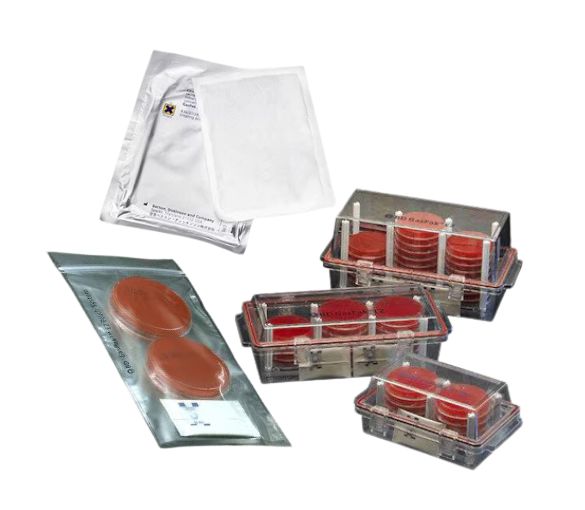 La gamme BD GasPak™ EZ offre un ensemble d’accessoires et de consommables permettant de produire les conditions nécessaires à l’isolement et à la culture des bactéries anaérobies