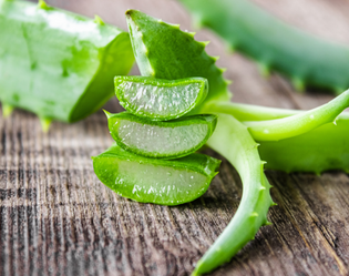 ALOE VERA