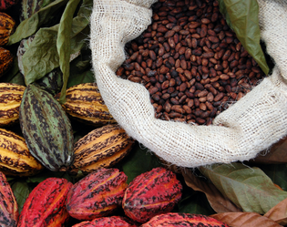 CACAO