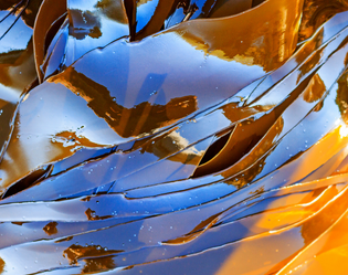 LAMINAIRE
