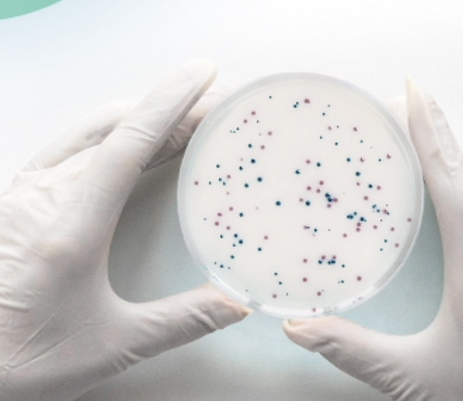laboratoire analyse